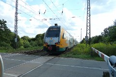 ODEG ET 445 Kiss, Lübsdorf, 11. August 2014