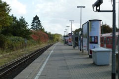 Thesdorf, 4. September 2010