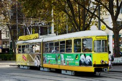 Vienna Ring Tram, Swedenplatz, 28. October 2016